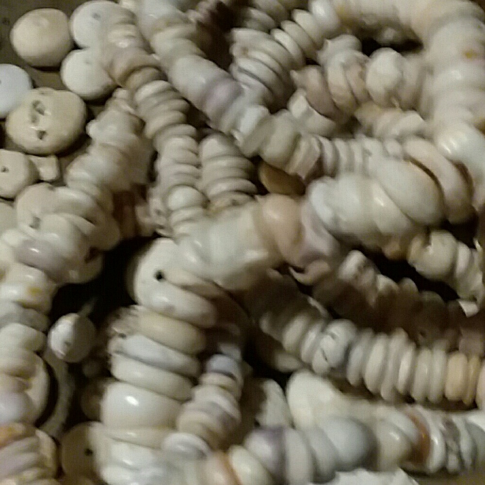 Puka shells - Picture 2 of 3